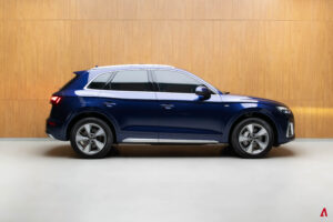 Q5 PERFORMANCE 2.0 55 TFSI E