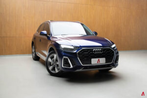 Q5 PERFORMANCE 2.0 55 TFSI E