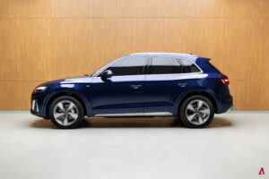 Q5 PERFORMANCE 2.0 55 TFSI E