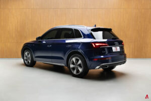 Q5 PERFORMANCE 2.0 55 TFSI E