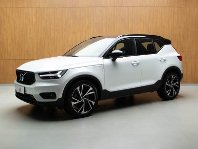 XC4021 (24)